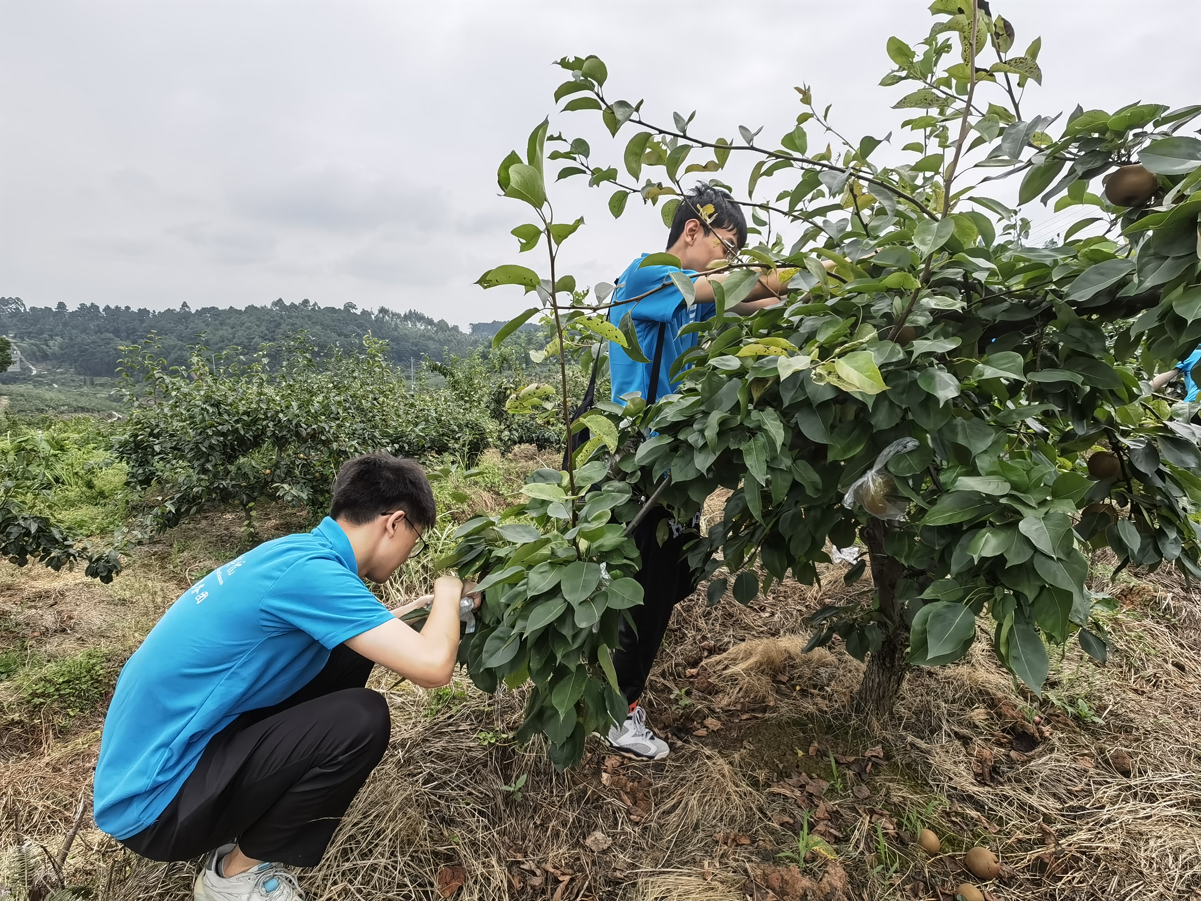 hOlw_1657280736193017472.jpg hOlw_1657280736193017472.jpg