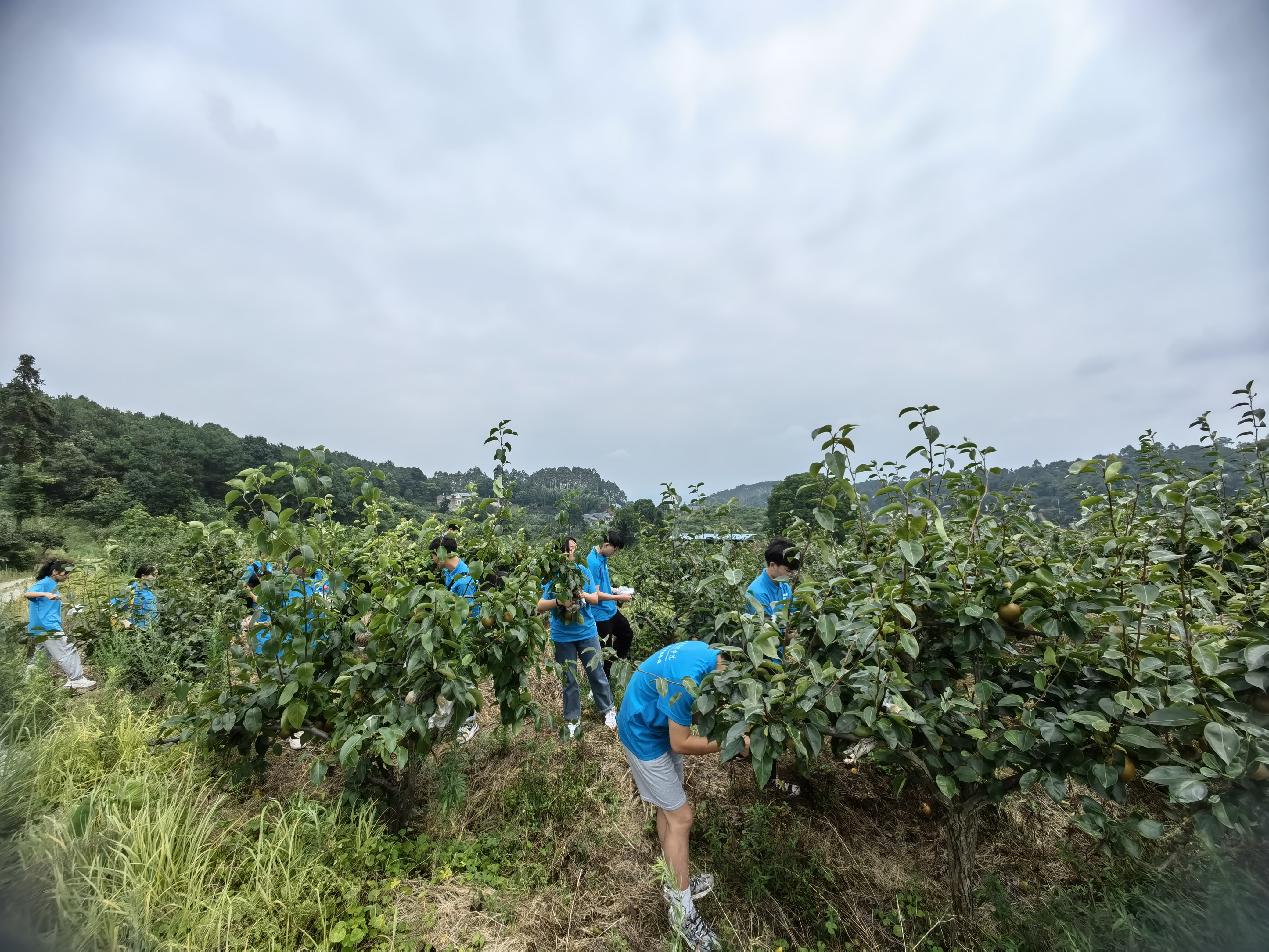 qibr_1657280736181039951.jpg qibr_1657280736181039951.jpg