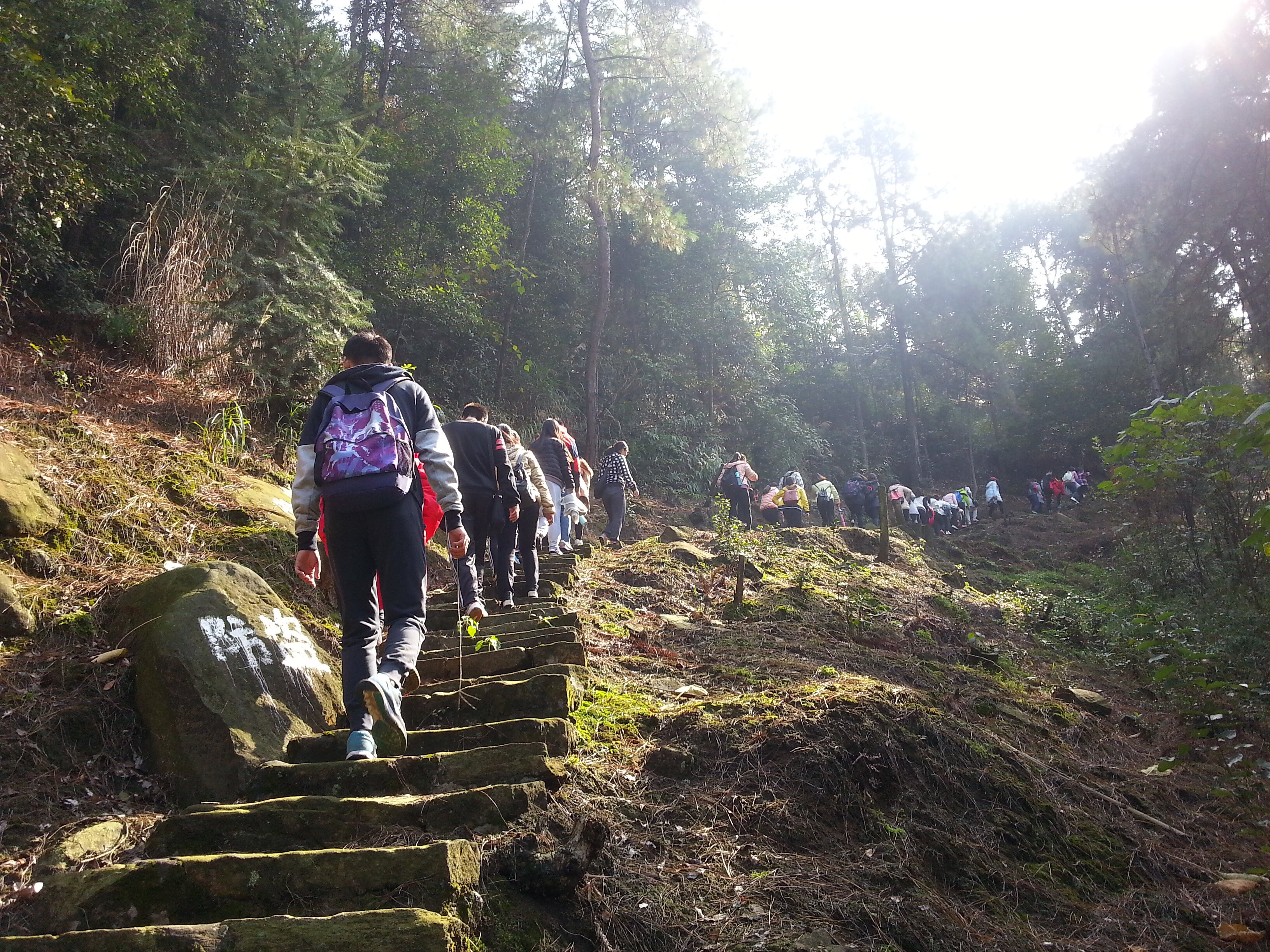 cPAI_1727082223700052518.jpg 1.jpg